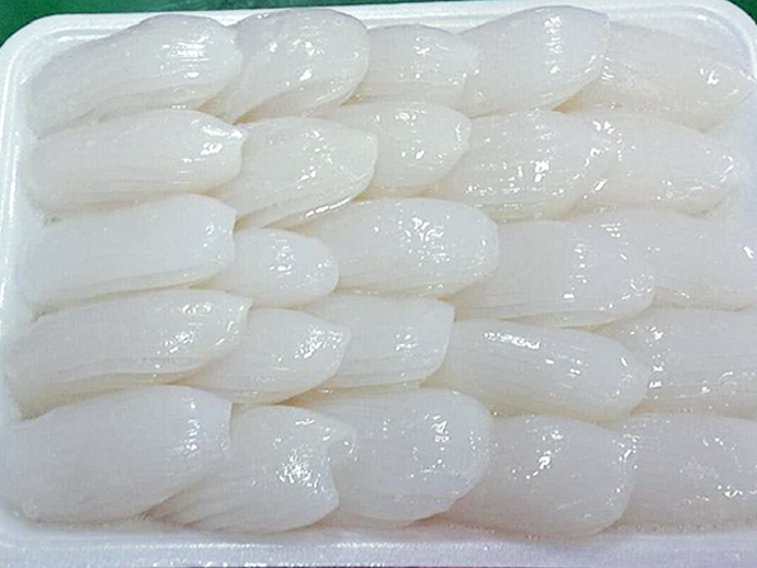 うず潮モンゴイカ