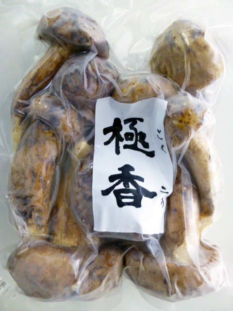その日採り松茸